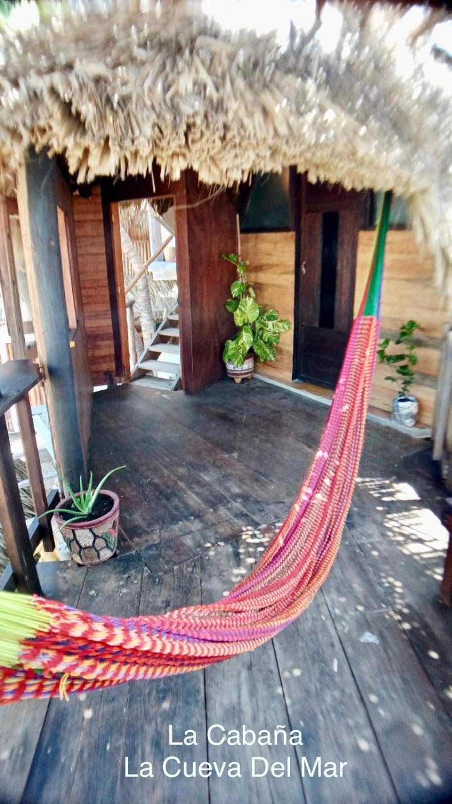 Cafe Maya - Zipolite Εξωτερικό φωτογραφία